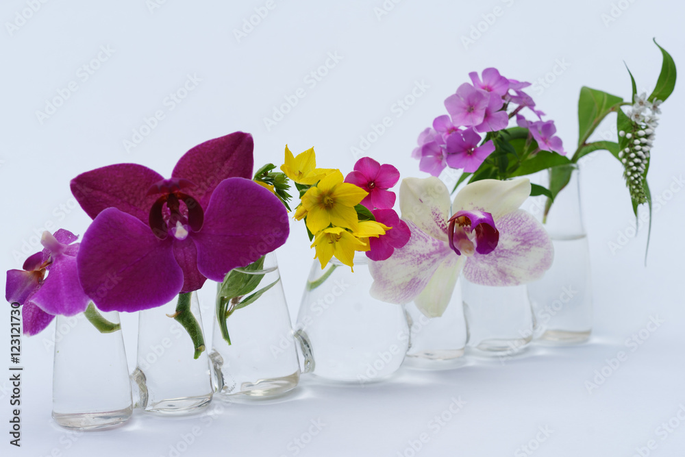 Blumenarrangement in Reihenvase mit Orchidee, Phlox und Felberic Blumenarrangement in Reihenvase mit Orchidee, Phlox und Felberic