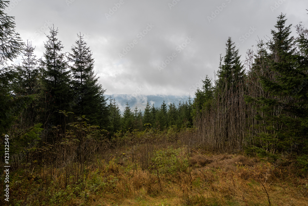 Berge in Deutschland