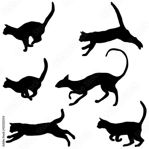 Cats collection - vector silhouette