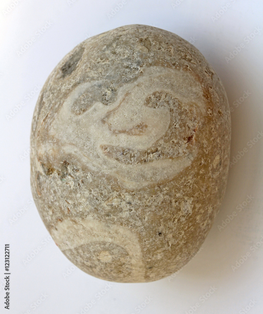 Fototapeta premium portrait on a stone