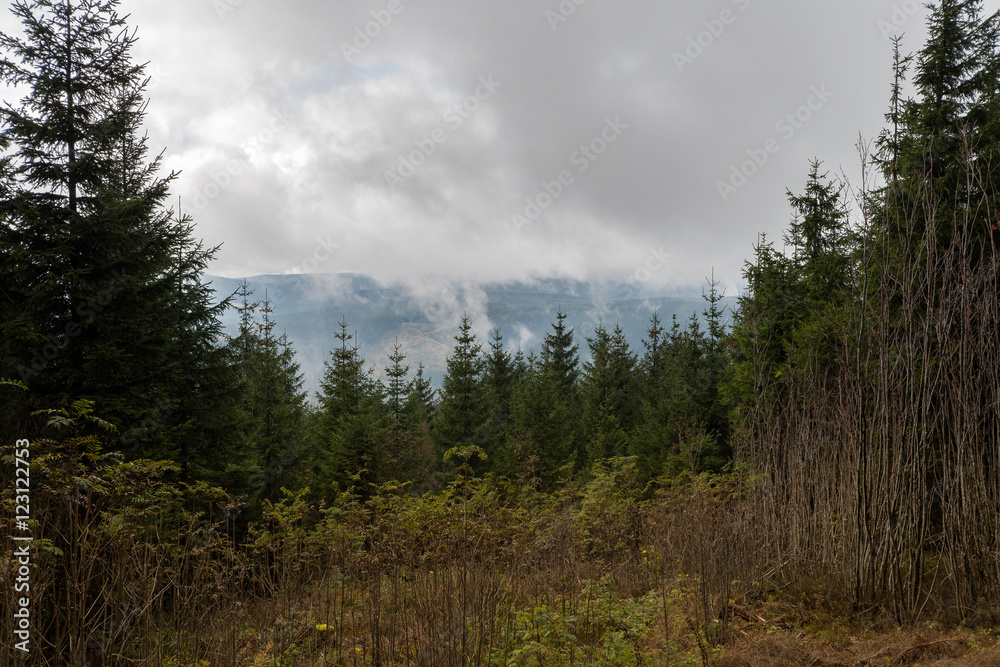 Berge in Deutschland