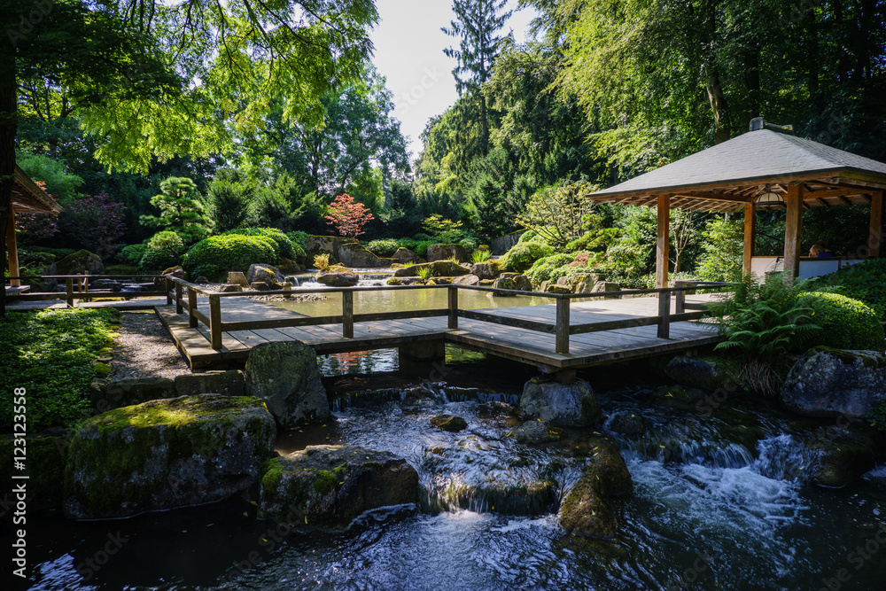 Morgenlicht auf Blattwerk und Pagoden im Japanischen Garten