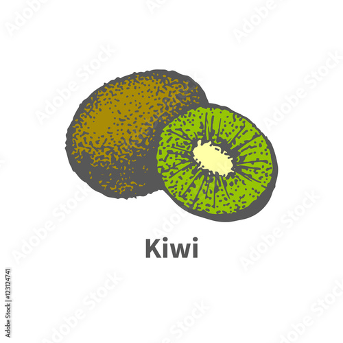 Hand-drawn ripe juicy kiwi and cut a piece half
