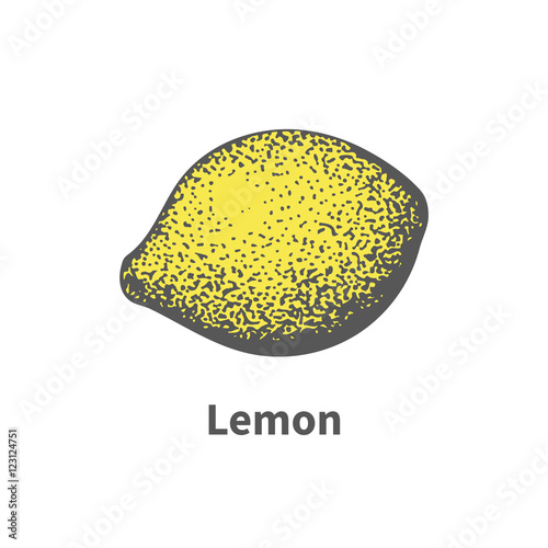 Vector hand-drawn single ripe juicy yellow lemon