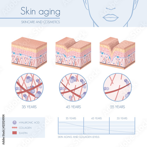 Canvas Print Skin aging