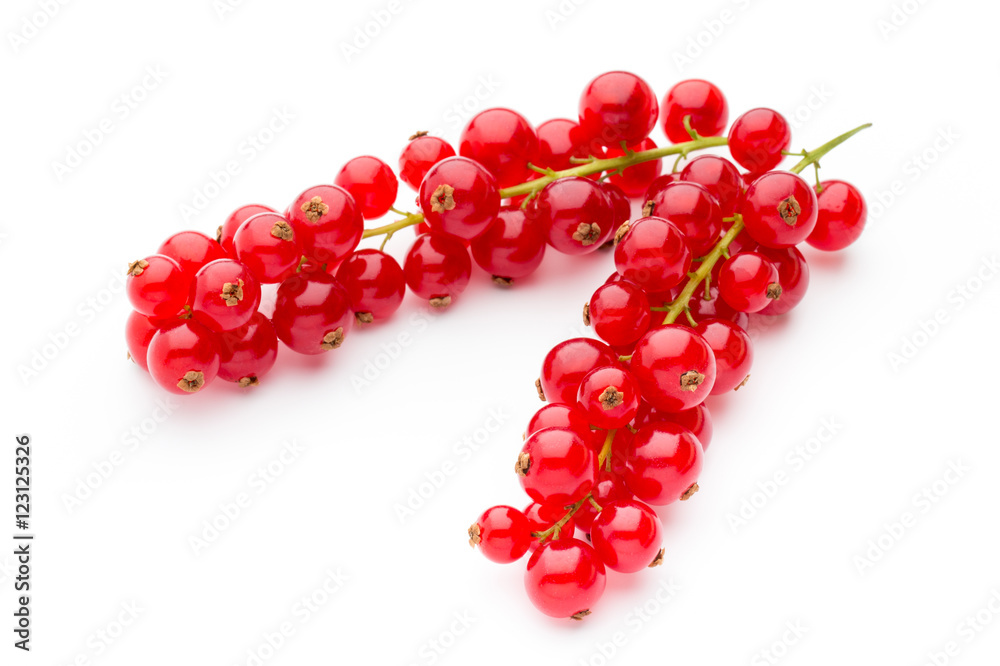 Red Currant close up isolated on white.