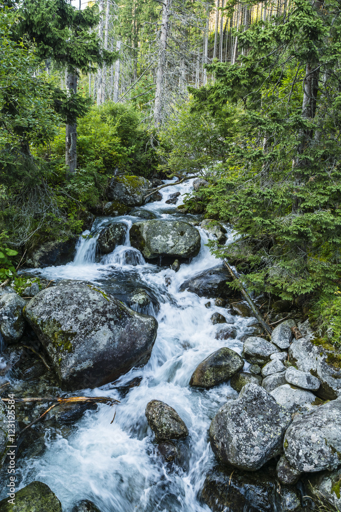 Naklejka premium Rapid current of the river.