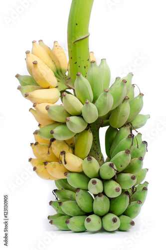 Fresh bananas on white background