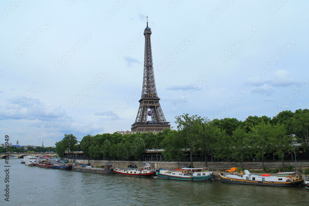 Fototapeta premium The Eiffel Tower in Paris, capital and the most populous city of France