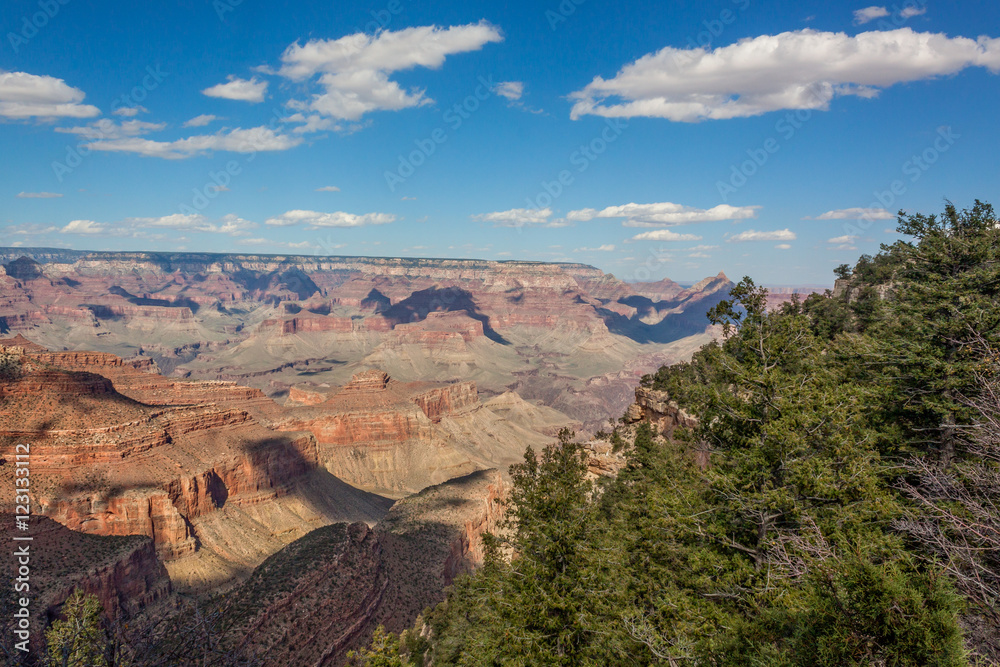 Grand Canyon South Rim Landscape Grand Canyon South Rim Landscape
