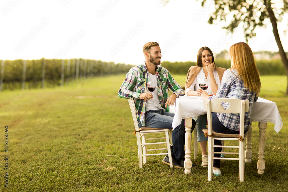 Dinner in the vineyard Dinner in the vineyard