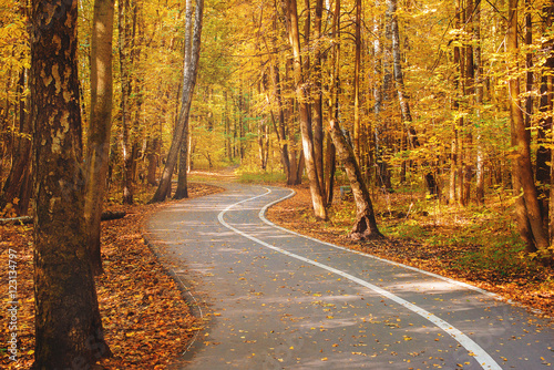 Autumn road with a folige in a forest. photo