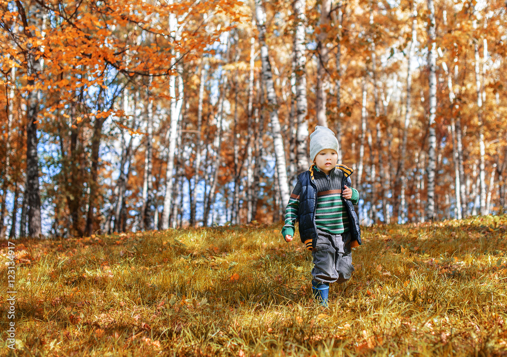 Little boy running from the hill in autumn forest. Little boy running from the hill in autumn forest.