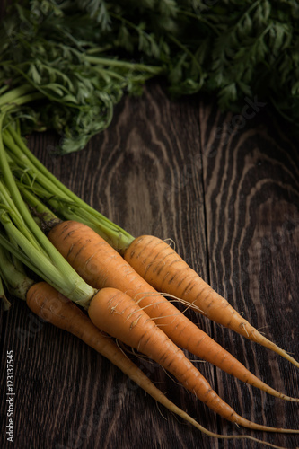 Freshly grown carrots