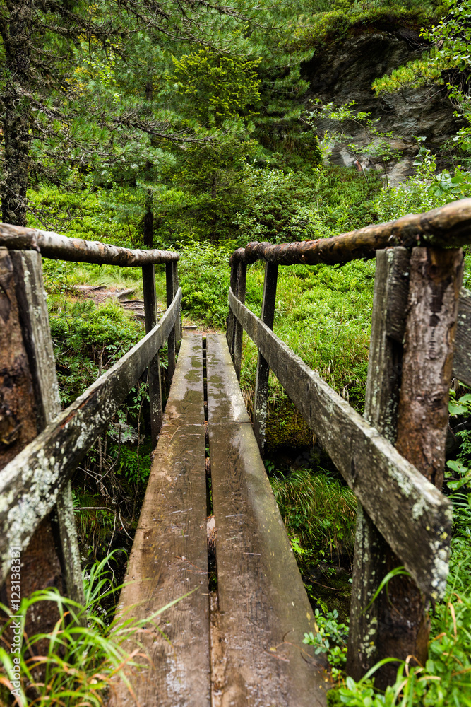 Fototapeta premium Wooden bridge