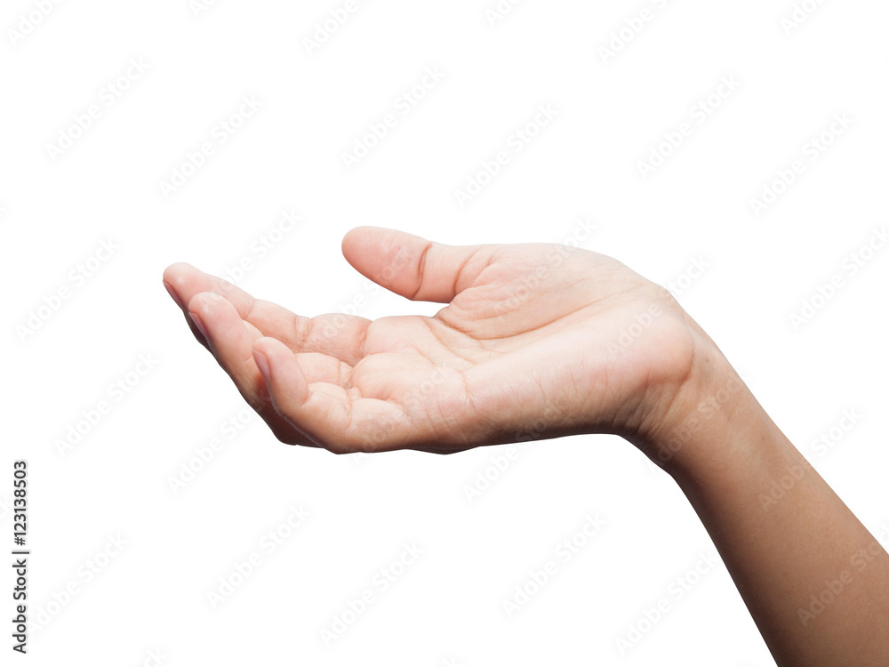 empty female hand on white background. empty female hand on white background.