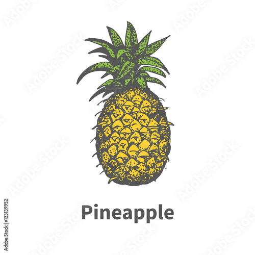 Vector hand-drawn single yellow ripe pineapple