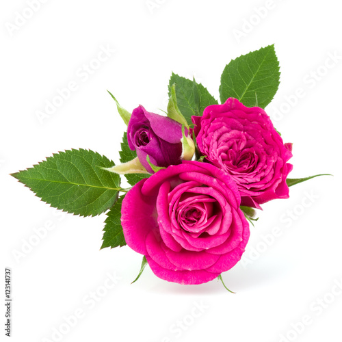 pink rose flower bouquet isolated on white background cutout