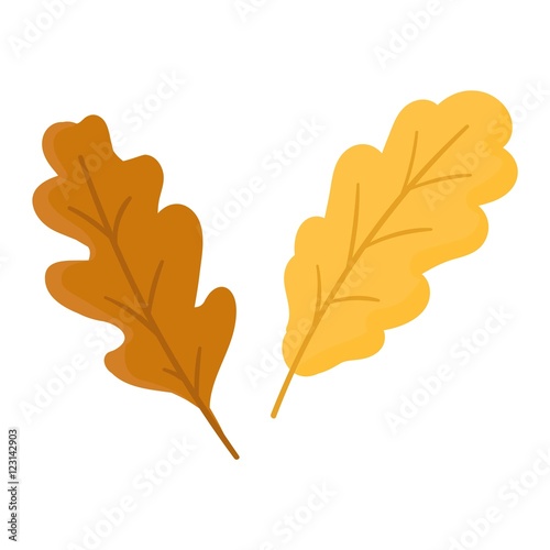 autumn leaf vector illustration.