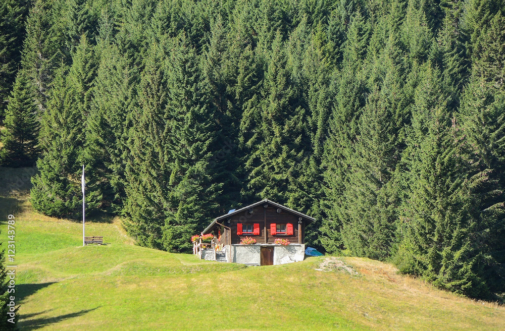 Traditional Swiss mountain landscape. Green area fall season with wood Traditional Swiss mountain landscape. Green area fall season with wood