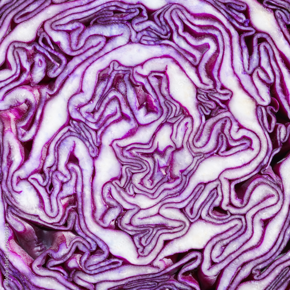 close up on red cabbage close up on red cabbage