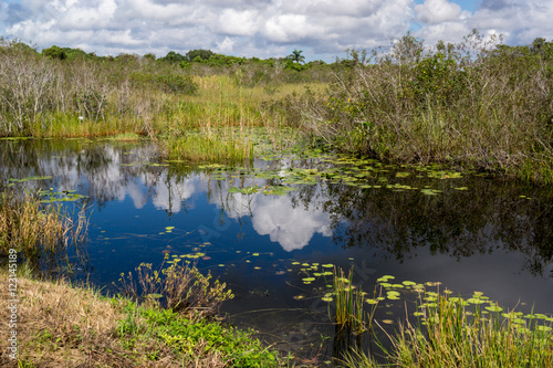 Wanderung Everglades Anhinga Trail USA photo