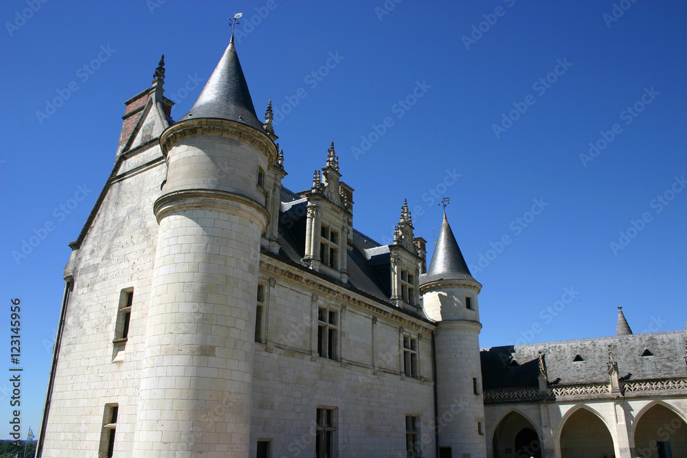 The Château d'Amboise