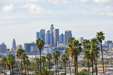 Los Angeles skyline with palm trees in the foreground