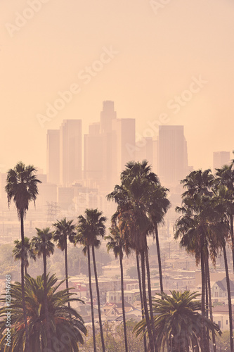  Los Angeles Skyline
