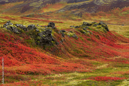 Wild landscapes of Iceland in Autumn
