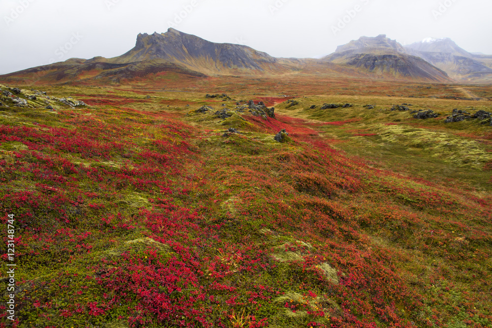 Wild landscapes of Iceland in Autumn