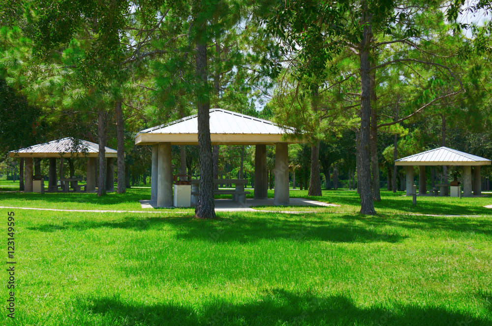 Picnic tables area in beautiful park with trees and green grass