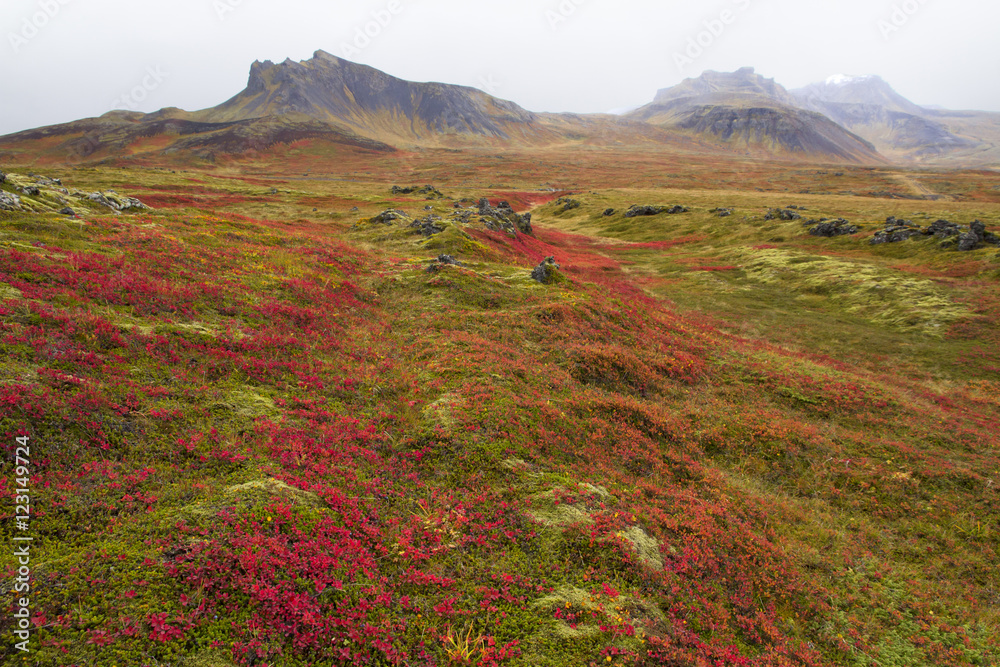 Wild landscapes of Iceland in Autumn