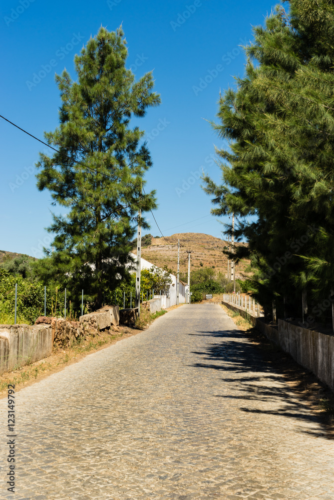 Typical Portugese farmhouse Typical Portugese farmhouse