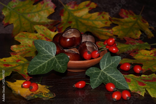 Autumn colors - chestnut, eglantine  and colorful leaves