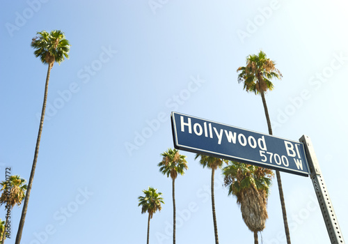 Fototapeta Hollywood Boulevard sign with palm trees