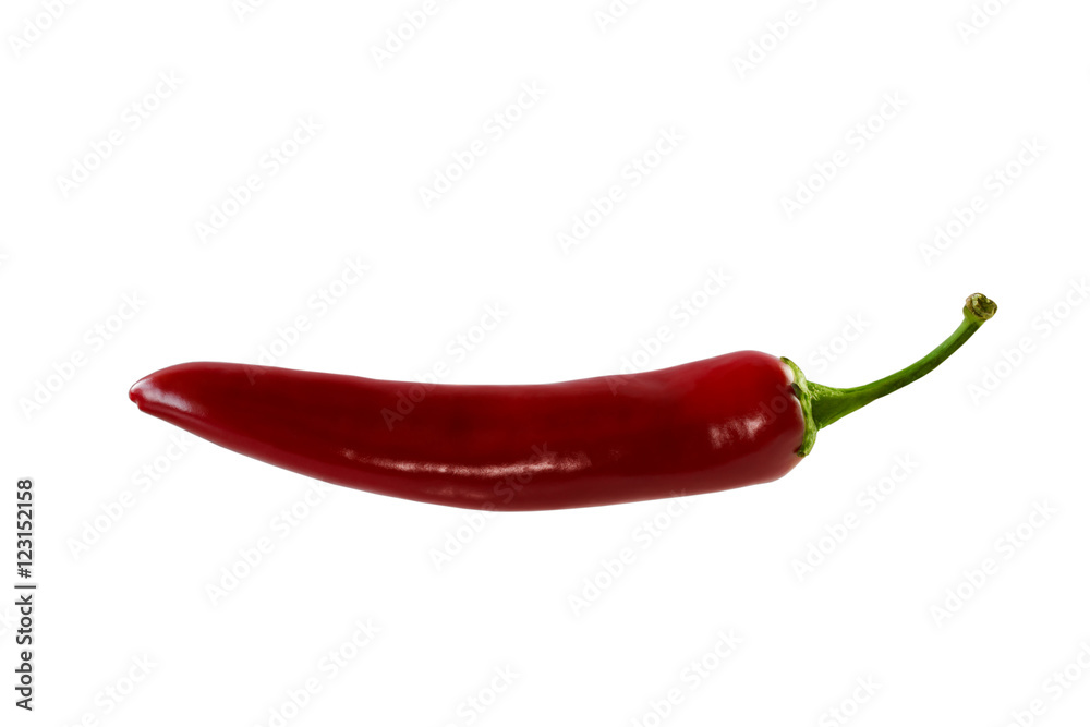 Red chili hot pepper isolated on white background
