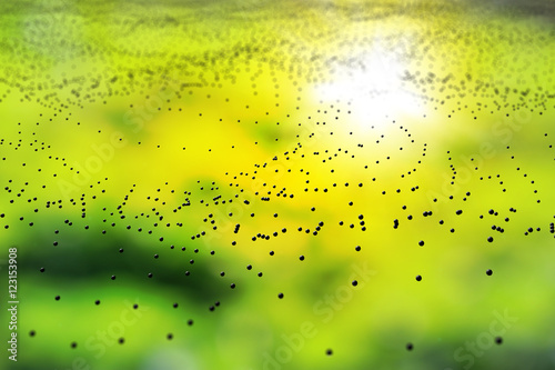 The virtual layer of dust  spores  on abstract bokeh background. DOF 3D illustration.