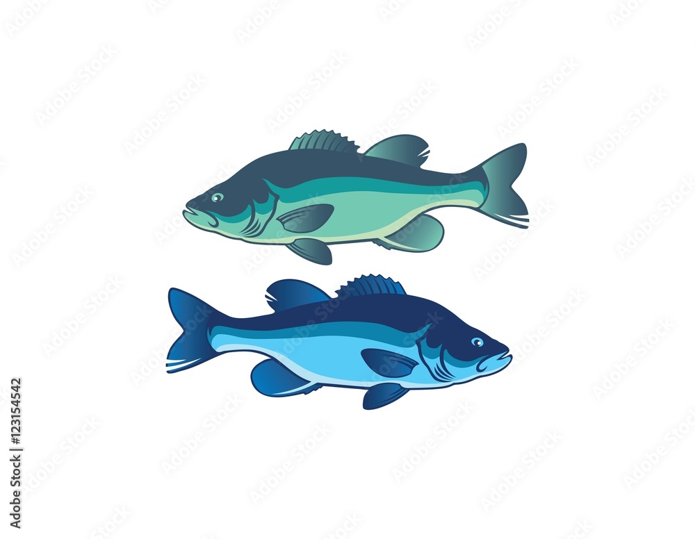 Fototapeta premium fish bass