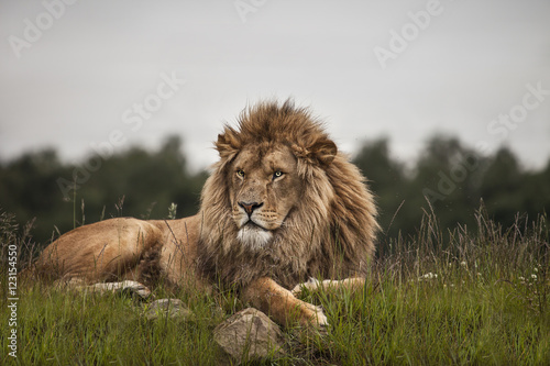 Time for a rest 