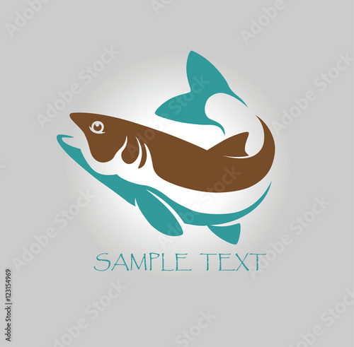 fish salmon