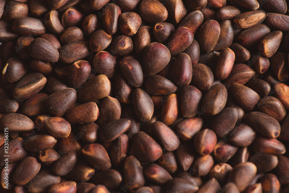 Pine nuts in shells of ciberian cedar as a background. Macro