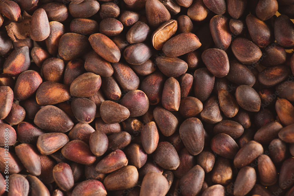 Pine nuts in shells of ciberian cedar as a background. Macro