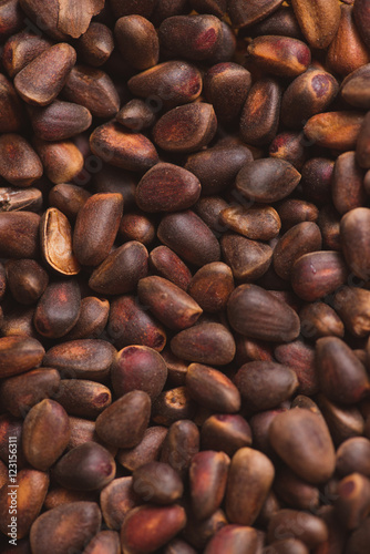 Pine nuts in shells of ciberian cedar as a background. Macro