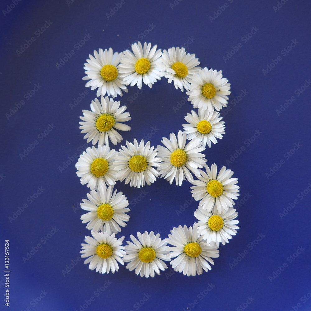 Letter B, Flower alphabet on blue background Stock Photo | Adobe Stock