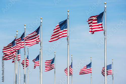 Curved row of many American Flags in Washington D.C. by monument isolated against blue sky