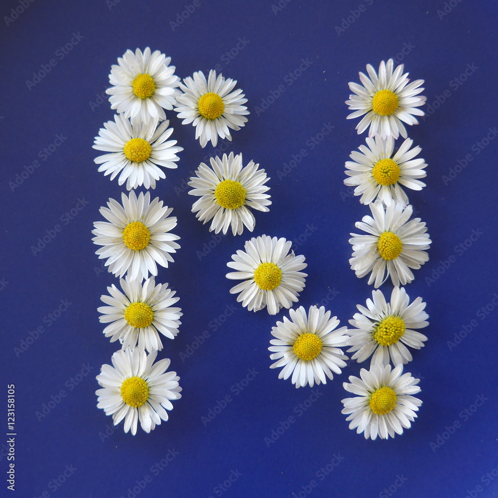 Letter N, Flower alphabet on blue background Letter N, Flower alphabet on blue background