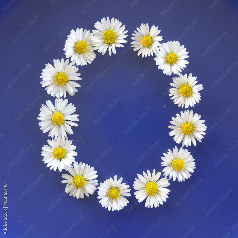Letter O, Flower alphabet on blue background