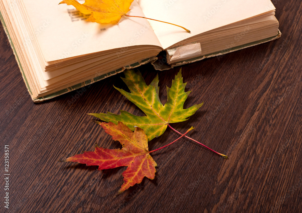 Autumn concept. Sentimental poetry Autumn concept. Sentimental poetry