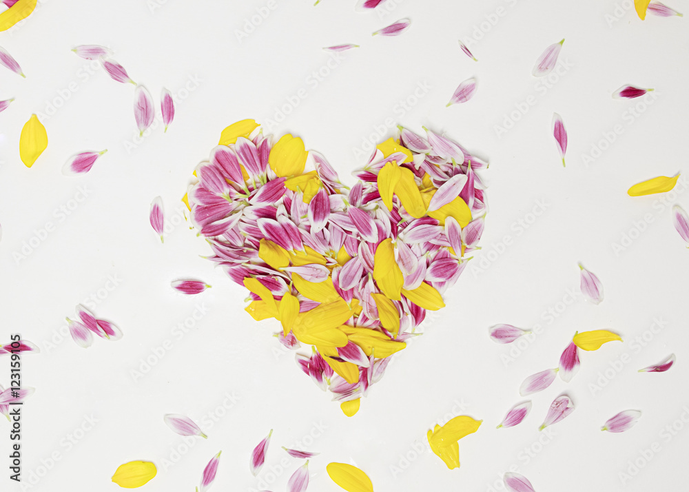 cartolina cuore fiori